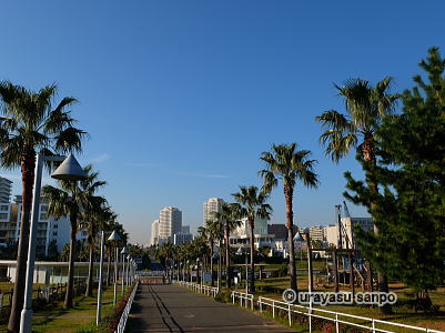 浦安総合公園