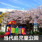 浦安　当代島児童公園の桜