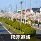 浦安　段差道路の桜並木