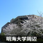 浦安　明海大学の桜