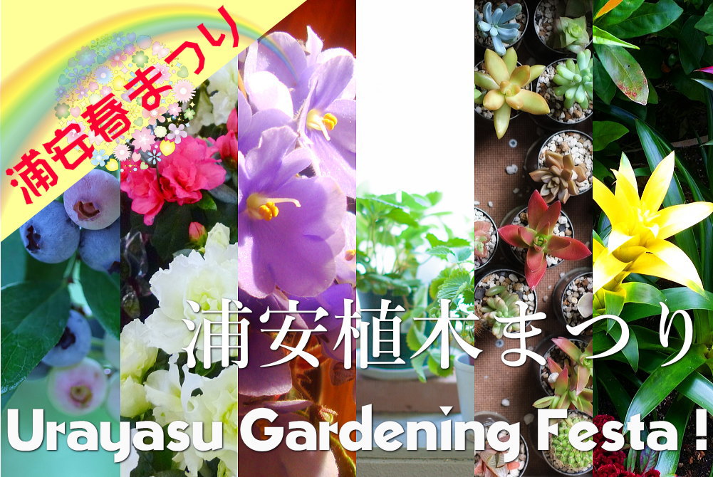 浦安植木まつり