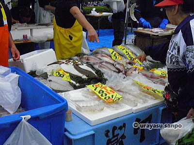 浦安市民まつり