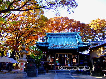 清瀧神社の紅葉